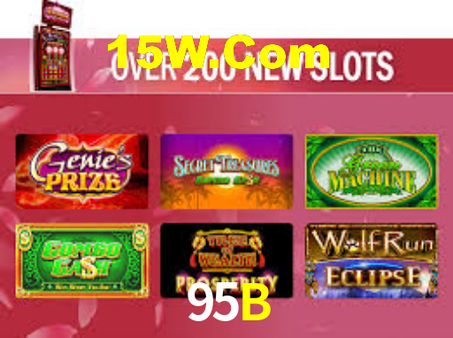 95b.com