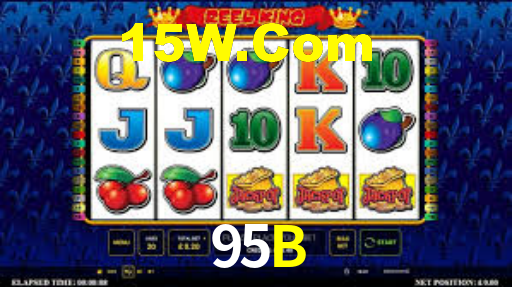 95b.com
