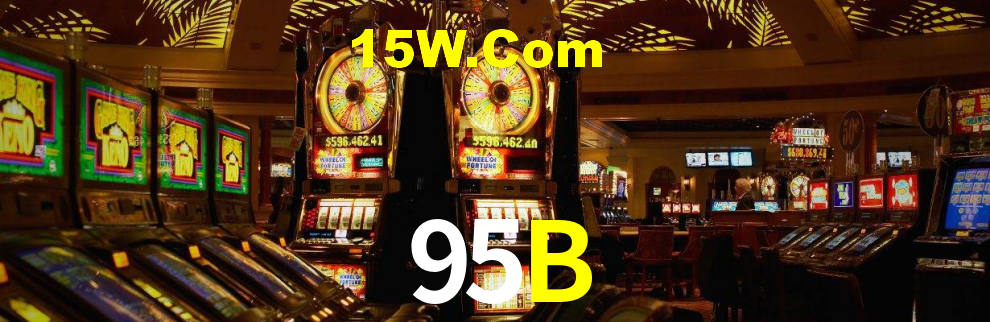 95b.com
