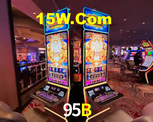 95b.com